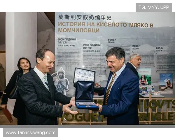 法比奥席尔瓦将加盟多特蒙德 签约五年正式开启新篇章